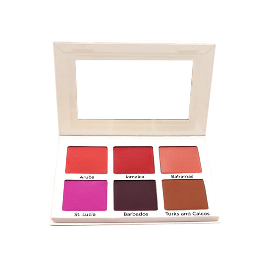 Booked and Blushing Palette